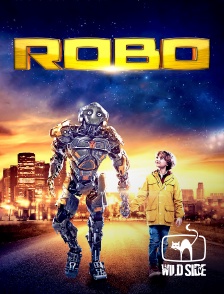 Molotov channels - Robo