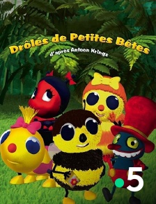 France 5 - Les drôles de petites bêtes