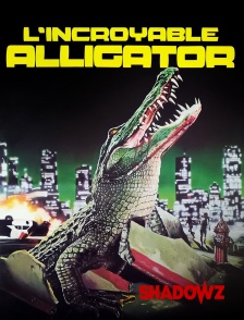 Shadowz - L'Incroyable Alligator
