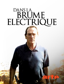 Dans la brume électrique