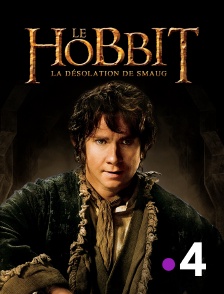 France 4 - Le Hobbit : la désolation de Smaug