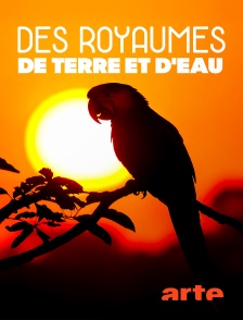 Arte - Des royaumes de terre et d'eau