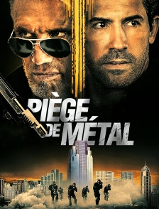 Piège de métal