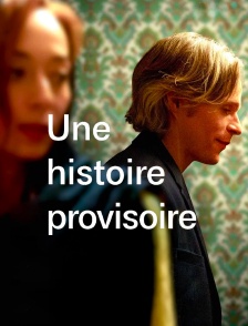 Une histoire provisoire