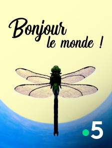 Bonjour le monde !