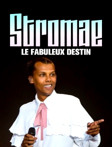 Le fabuleux destin de Stromae
