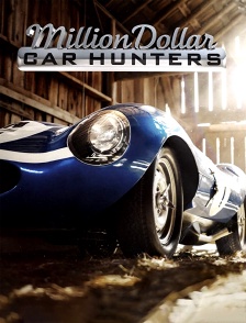 Million Dollar Car Hunters