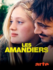 Arte - Les Amandiers