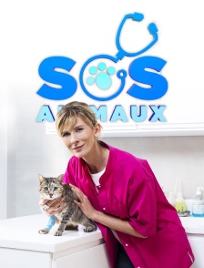 SOS animaux