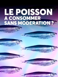 Le poisson : à consommer sans modération ?