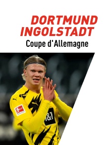 Football : Coupe d'Allemagne - Borussia Dortmund / Ingolstadt