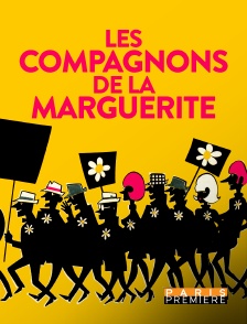 Les compagnons de la marguerite