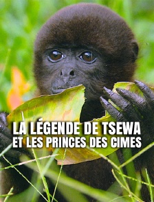 La légende de Tsewa et les princes des cimes
