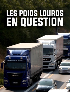 Les poids lourds en question