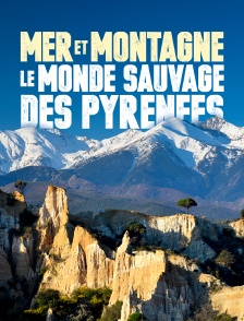 Mer et montagne, le monde sauvage des Pyrénées