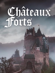Châteaux forts