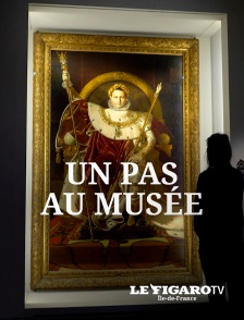 Un pas au Musée