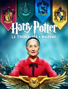 Harry Potter : le tournoi des quatre maisons