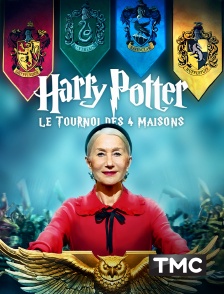 TMC - Harry Potter : le tournoi des quatre maisons