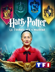 TF1 - Harry Potter : le tournoi des quatre maisons