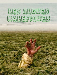 Les Algues Maléfiques