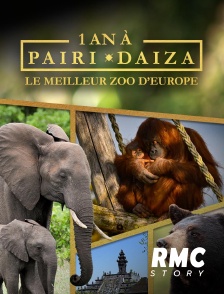 RMC Story - 1 an à Pairi Daiza, le meilleur Zoo d'Europe