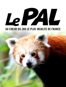Le Pal : au coeur du zoo le plus insolite de France