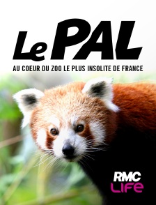 RMC Life - Le Pal : au coeur du zoo le plus insolite de France