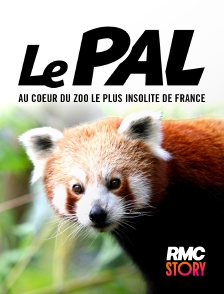 RMC Story - Le Pal : au coeur du zoo le plus insolite de France