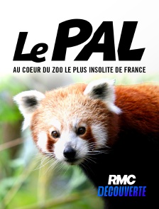 RMC Découverte - Le Pal : au coeur du zoo le plus insolite de France