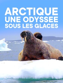 Arctique, une odyssée sous les glaces