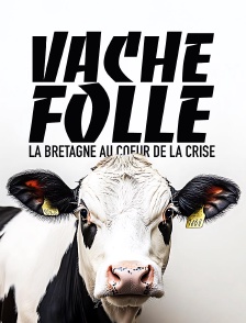 Vache folle, la Bretagne au coeur de la crise