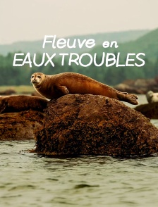 Fleuve en eaux troubles