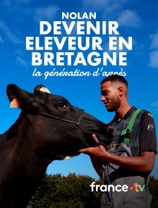 france.tv - Nolan - devenir éleveur en Bretagne, la génération d'après en replay
