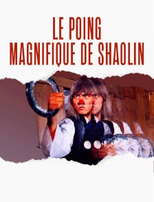 Le poing magnifique de Shaolin