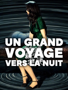 Un grand voyage vers la nuit