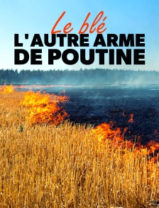 Le blé, l'autre arme de Poutine
