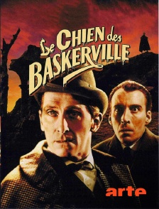 Le chien des Baskerville