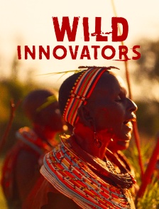 Wild innovators