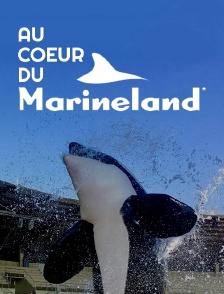 Au coeur du Marineland