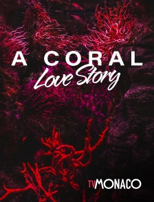 TV Monaco - A coral love story