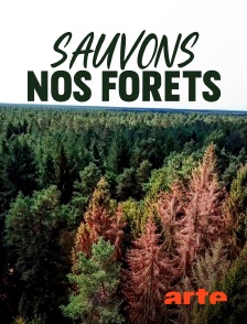 Arte - Sauvons nos forêts