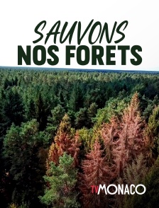 TV Monaco - Sauvons nos forêts
