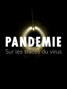 Pandémie, sur les traces du virus
