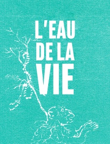 L'eau de la vie