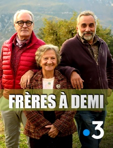 France 3 - Frères à demi