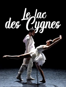 Le Lac des cygnes
