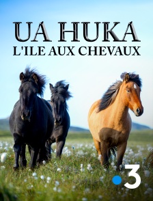 France 3 - Ua huka, l'île aux chevaux