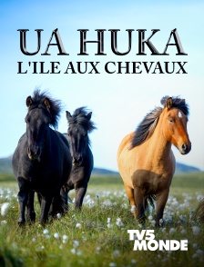 TV5MONDE - Ua huka, l'île aux chevaux