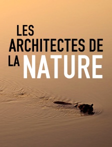 Les architectes de la nature *2017